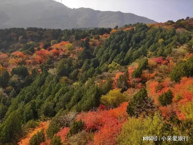 大岭山的风光让人流连忘返九游会棋牌中山秋季游览(图3)