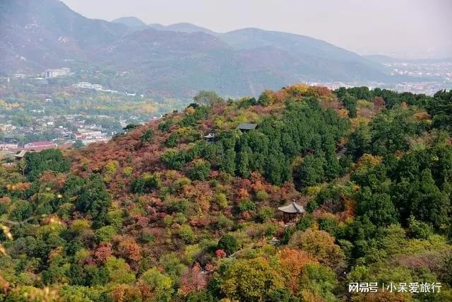 大岭山的风光让人流连忘返九游会棋牌中山秋季游览